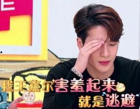 王嘉尔爆料马来西亚视频,一场别开生面的文化交流之旅  第3张