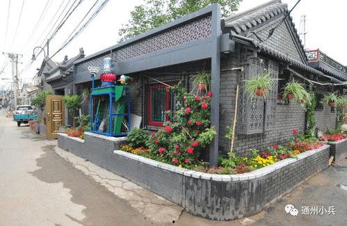 迷你枪战精英2025年最新爆料,革命性升级，战火再燃！